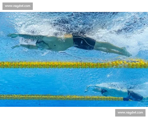 伦敦奥运会游泳比赛中的辉煌瞬间与新纪录解读及人物背后故事全景报道