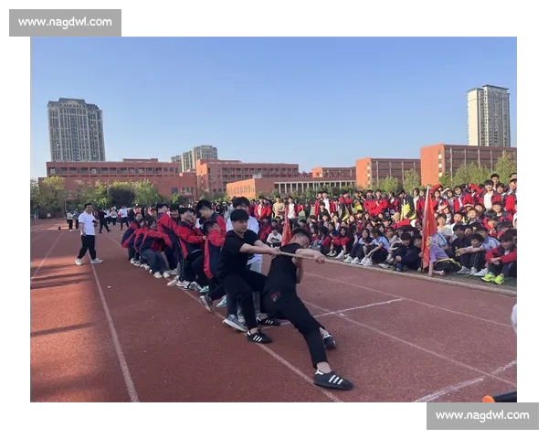 团结奋进，齐心协力拔河比赛展现集体力量与团队精神