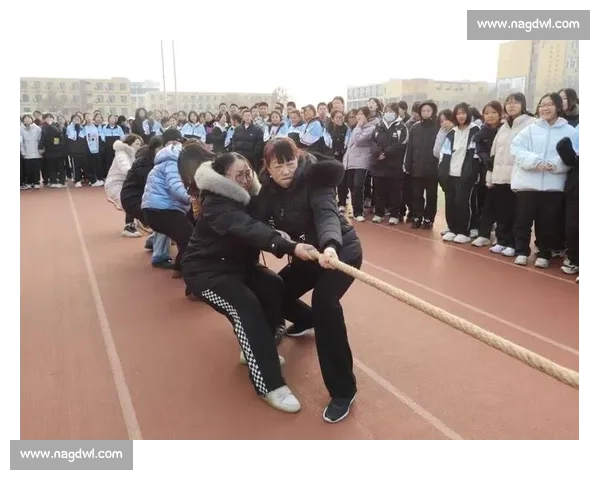 拔河比赛中的团结与拼搏精神记一次激烈而难忘的拔河比赛