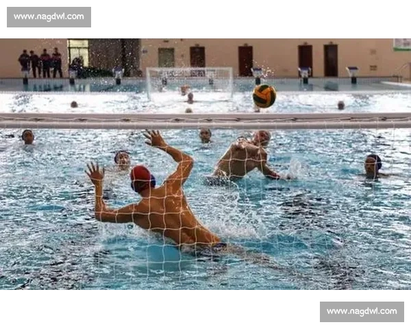 手球比赛激烈对抗与团队合作的完美展现观赛感悟与反思 手球比赛激烈对抗与团队合作的完美展现观赛感悟与反思