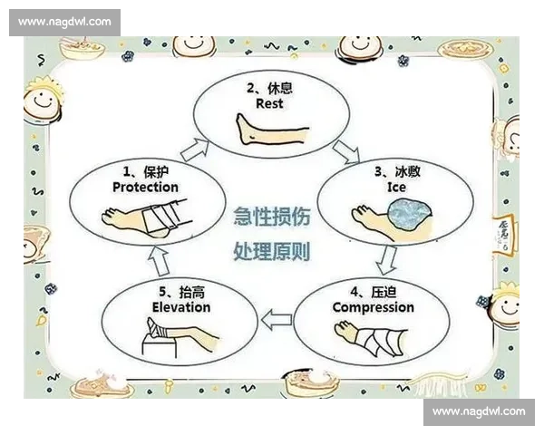 全面解析运动损伤预防策略与科学训练方法提升安全性